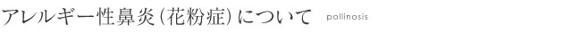 アレルギー性鼻炎（花粉症）について